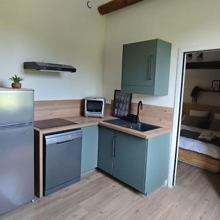 Appartement Au Calme Proche Centre Villeneuve-lès-Avignon Exterior foto